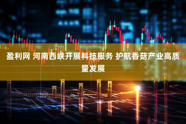 盈利网 河南西峡开展科技服务 护航香菇产业高质量发展