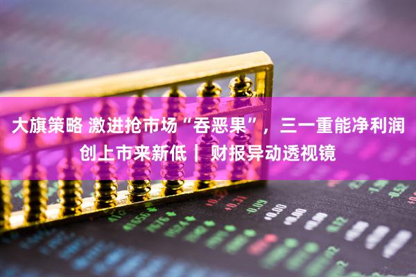 大旗策略 激进抢市场“吞恶果”，三一重能净利润创上市来新低｜ 财报异动透视镜